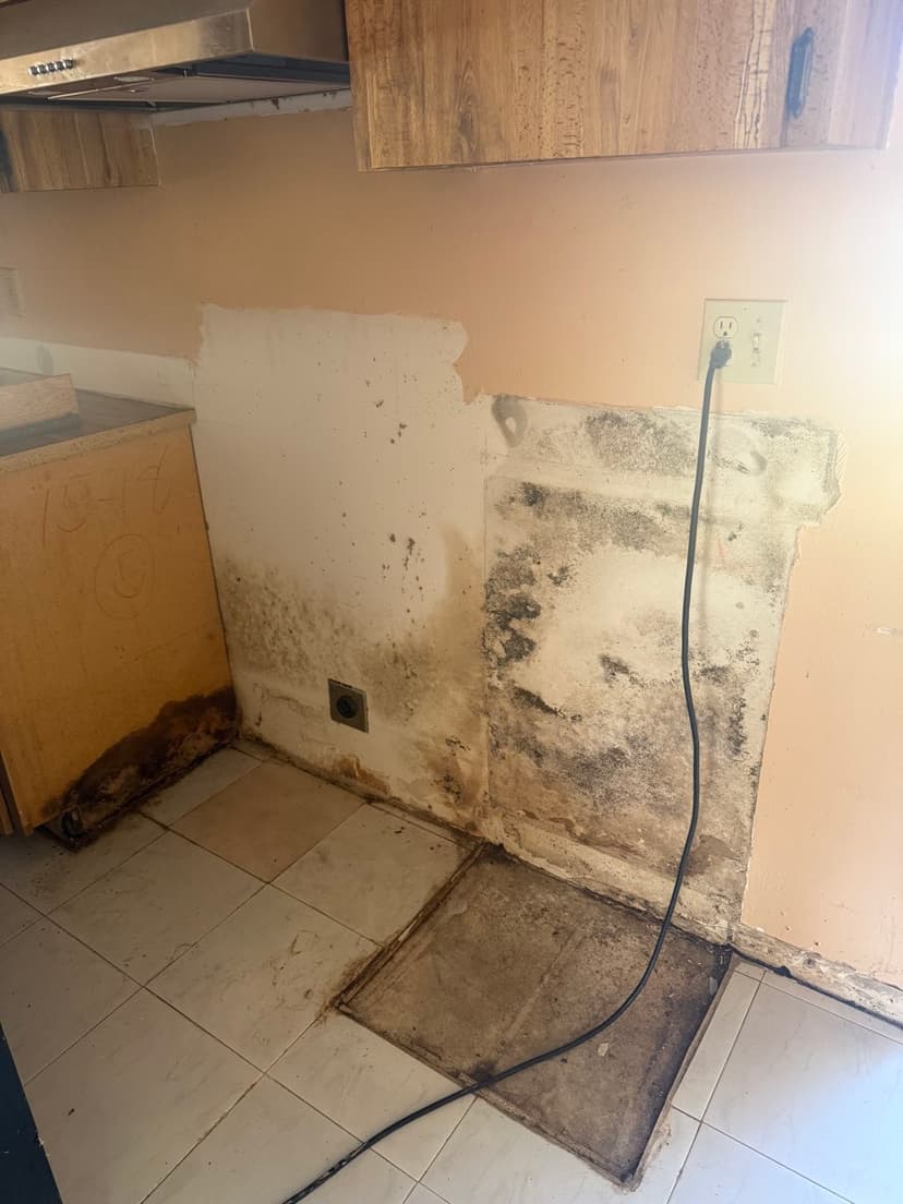 Water damage and mold behind the base cabinets.