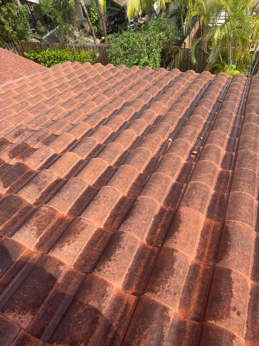 Before - Roof Cleaning and Paint Prep