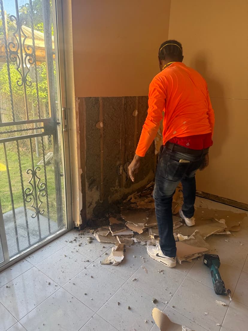 Wet, moldy drywall cut out along the bottom of the walls.